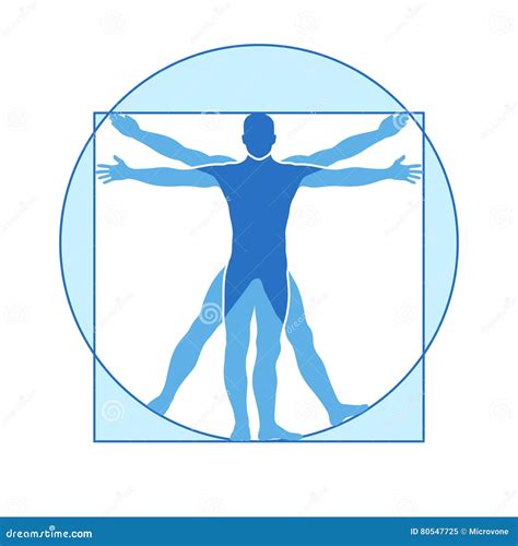 Icona Di Vettore Del Corpo Umano Dell Uomo Vitruvian Immagine