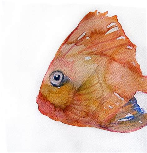 Watercolor Painting of Fish. Fish in Watercolor. Art | Etsy | Watercolor paintings, Fish ...