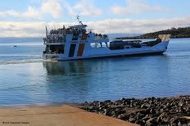 Fraser Island Ferry - River Heads Kingfisher Wanggoolba Creek