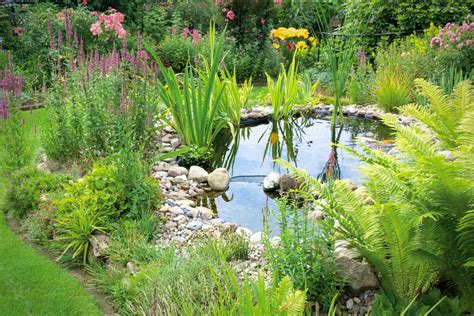 Gartenteich Anlegen Und Pflegen HORNBACH Schweiz