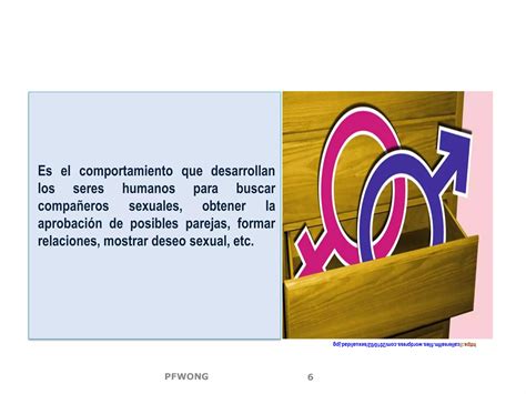 4 Sexualidad Humana Y Ciclo De Vida Ppt