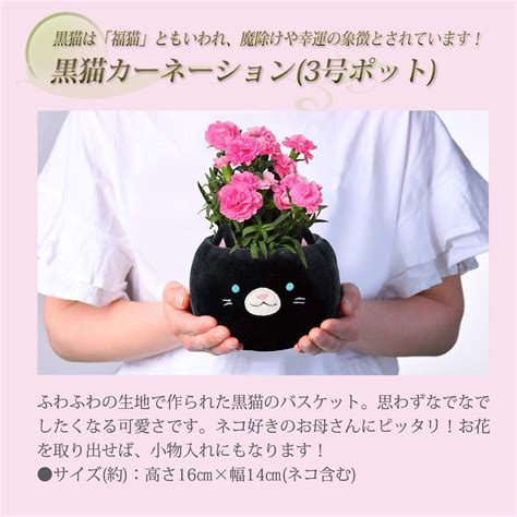 母の日 花 鉢植え カーネーション プレゼント 花鉢 母の日ギフト 母の日のプレゼント お父さんお母さんに贈りたいお母さんに感謝の気持ちを 安心と感動を送る！フラワーギフト 花のギフト社