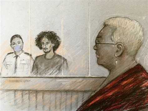 teen stabbed sisters bibaa henry  nicole smallman  death