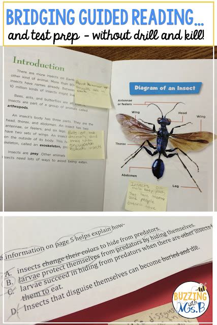 5 Fabulous Figurative Language Activities Buzzing With Ms B