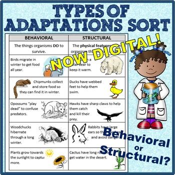 Behavioral and Structural (Physical) Adaptations Cut and Paste examples