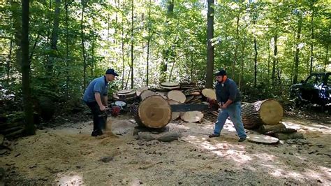 Disston Twin Cylinder Two Man Chainsaw Youtube