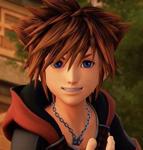 Sora Digitousailorcure Wiki Fandom