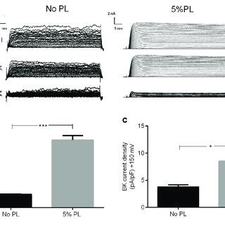 BK Channel Activity In RMSCs A Representative Whole Cell Currents