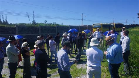 Equipos Finalistas Visitan Terreno Donde Se Construir El Nuevo Campus