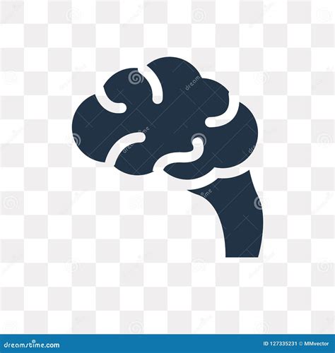 Icono Del Vector Del Cerebro Aislado En El Fondo Transparente Tra Del