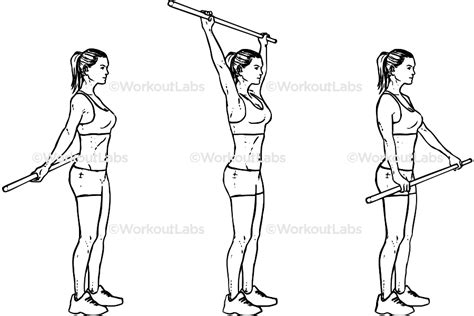 Shoulder Pole Broomstick Stretch Workoutlabs Exercise Guide