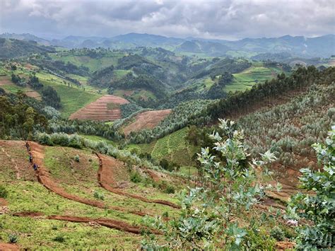 Solo Travel in Rwanda