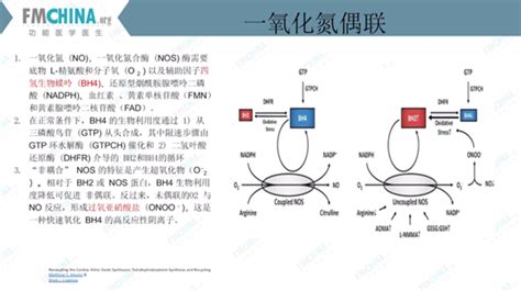 功能医学专业分享从功能基因谈心血管疾病的营养干预（一） 知乎