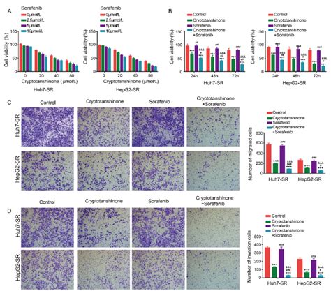 Cryptotanshinone Synergizes With Sorafenib To Inhibit The Malignant