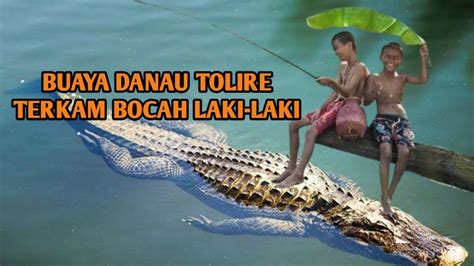 Buaya Danau Tolire Terkam Bocah Yang Sedang Memancing Youtube