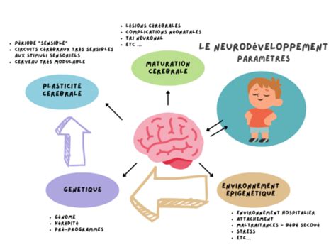 Les Troubles Du Neurod Veloppement Enfant Atypique