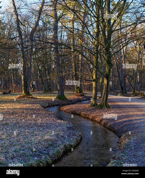 Nymphenburg Palace Park, Munich Stock Photo - Alamy