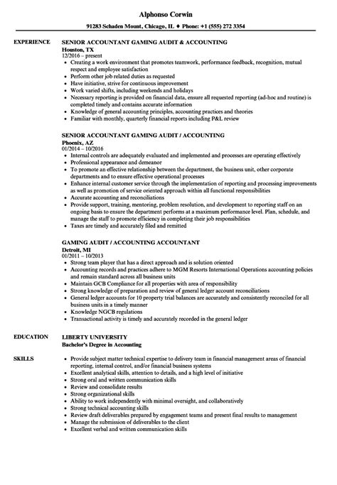 Audit Resume Template Website