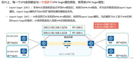 Mpls Vpn Hcip Ip Csdn