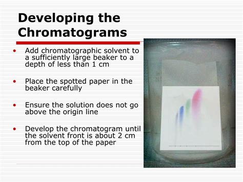 Ppt Paper Chromatography Powerpoint Presentation Free Download Id