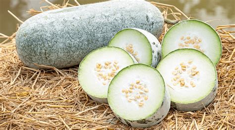 18 of the Absolute Best Winter Melon Recipes to Try This Year - Backyard Boss