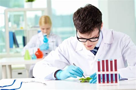 Biochemist Salary How To Become Job Description And Best Schools