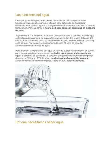 Las Funciones Del Agua Aprende Todo De Medicina Udocz