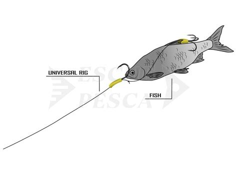 Black Cat Universal Rig DG Coating Ami Legati Da Pesca Siluro