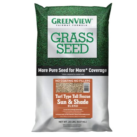 grass seed  florida bob vila