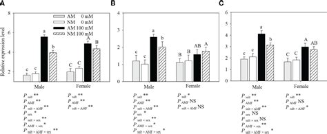 Frontiers Sex Specific Photosynthetic Capacity And Na Homeostasis In Populus Euphratica