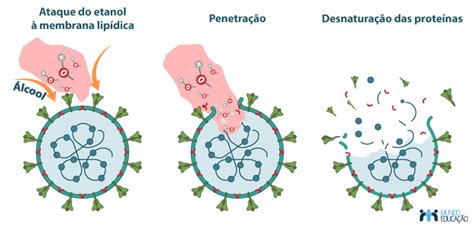 Etanol O Que Usos Produ O Import Ncia Mundo Educa O