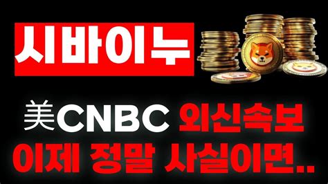 시바이누 코인 美cnbc 외신속보 이게 정말 사실이면 시바이누코인 시바이누코인전망 시바이누호재 Youtube