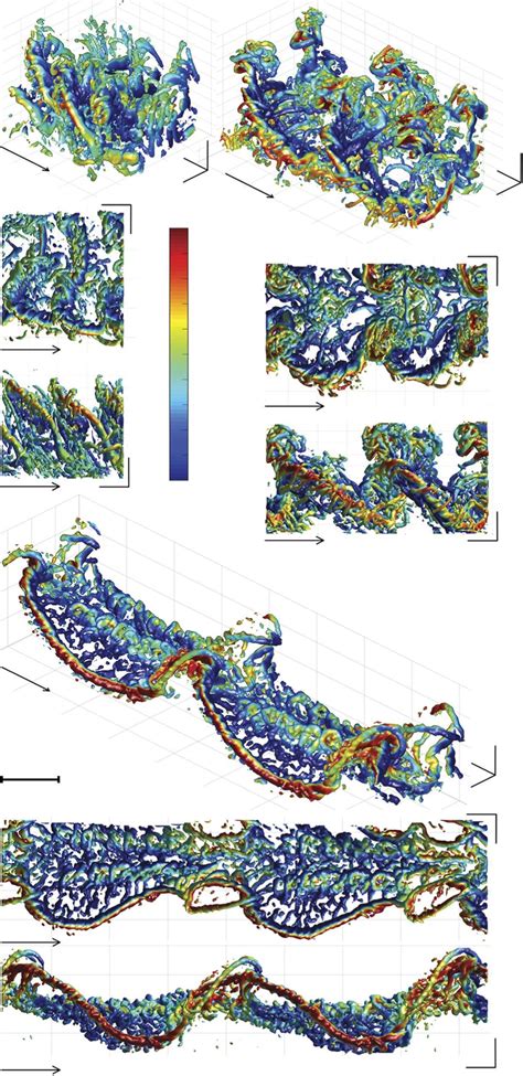 Iso Surface Plots Of The Q Criterion 2500 Colored By Vertical Flow