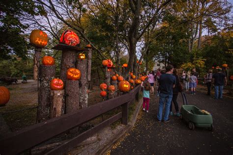 Sensory-friendly Jack-O-Lantern Spectacular event | ABC6