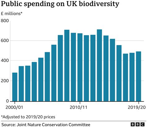 COP15: UN calls for biodiversity 'peace pact with nature' - BBC News