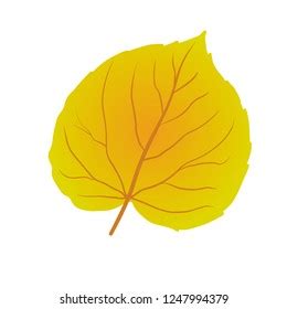 Aspen Leaf Vector Stock Vector (Royalty Free) 1247994379 | Shutterstock