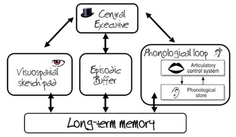 Psychology Cognitive Approach Flashcards Quizlet