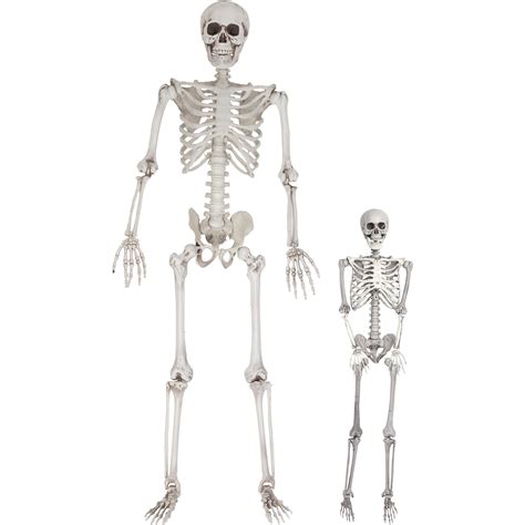 Snapklik.com : Life Size Human Skeleton Halloween Decoration Value 2 ...