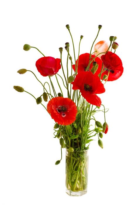 574 Bouquet Red Poppies Glass Stock Photos Free Royalty Free Stock