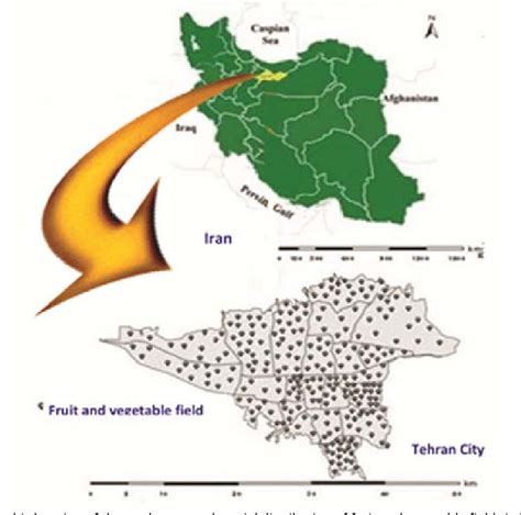 Figure 1 from The impact of fruit and vegetable waste on economic loss ...