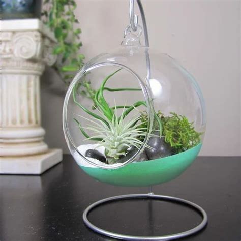 Customised Terrariums And Fairy Garden At Best Price In Mumbai