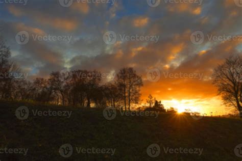 trees in the park at sunset 9451894 Stock Photo at Vecteezy