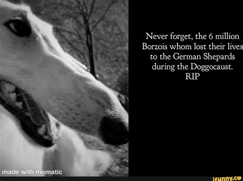 Never Forget The 6 Million Borzois Whom Lost Their Lives To The German