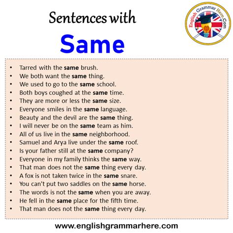 Sentences With Same Same In A Sentence In English Sentences For Same