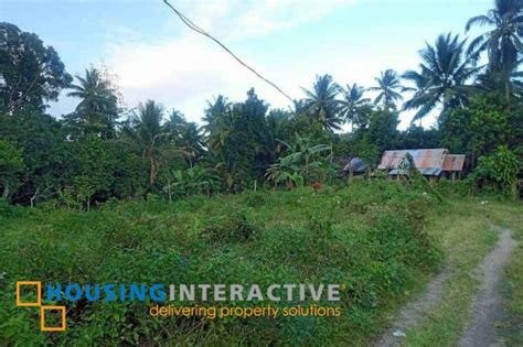 1100sqm Lot For Sale In Dumaguete City View RS 45567