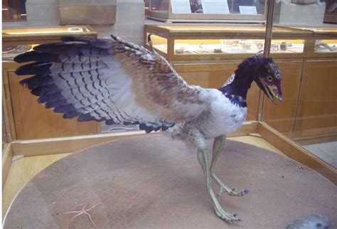 Archaeopteryx The Winged Link Between Dinosaurs And Birds