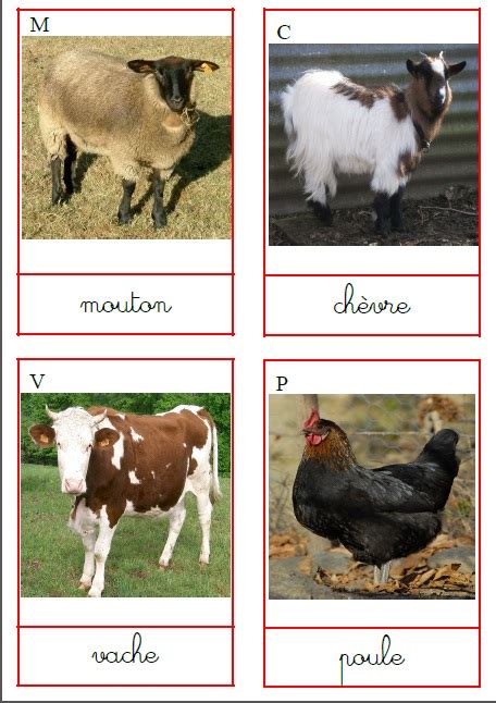 Les Animaux De La Ferme Maternelle