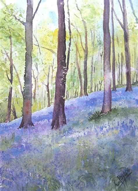 √ Watercolor Woods