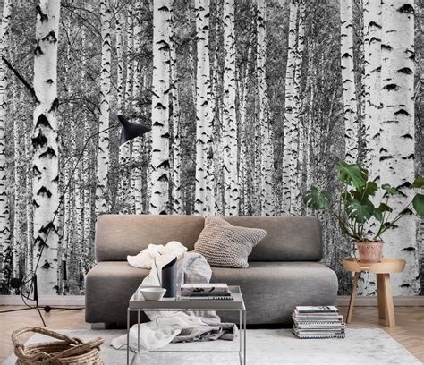 Birch trees black and white Wallpaper from Happywall.com Birch Tree ...