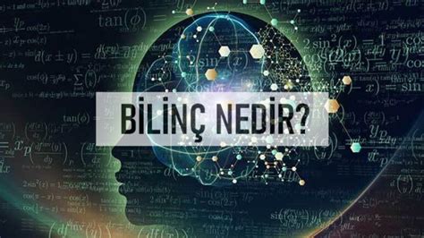 Bilinç Nedir Ne Demektir Felsefe gen TR